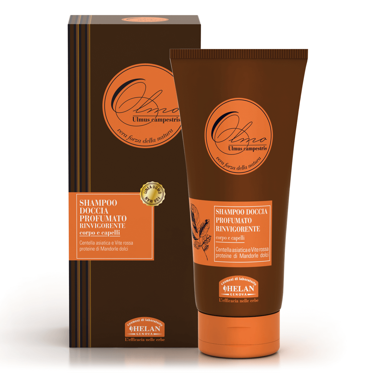 Champú de ducha Elm