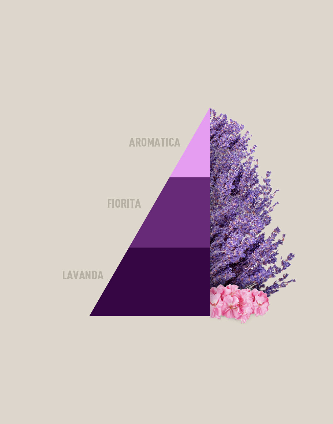 Bolsitas multiusos con aroma a lavanda aromática - 3 x 12 g