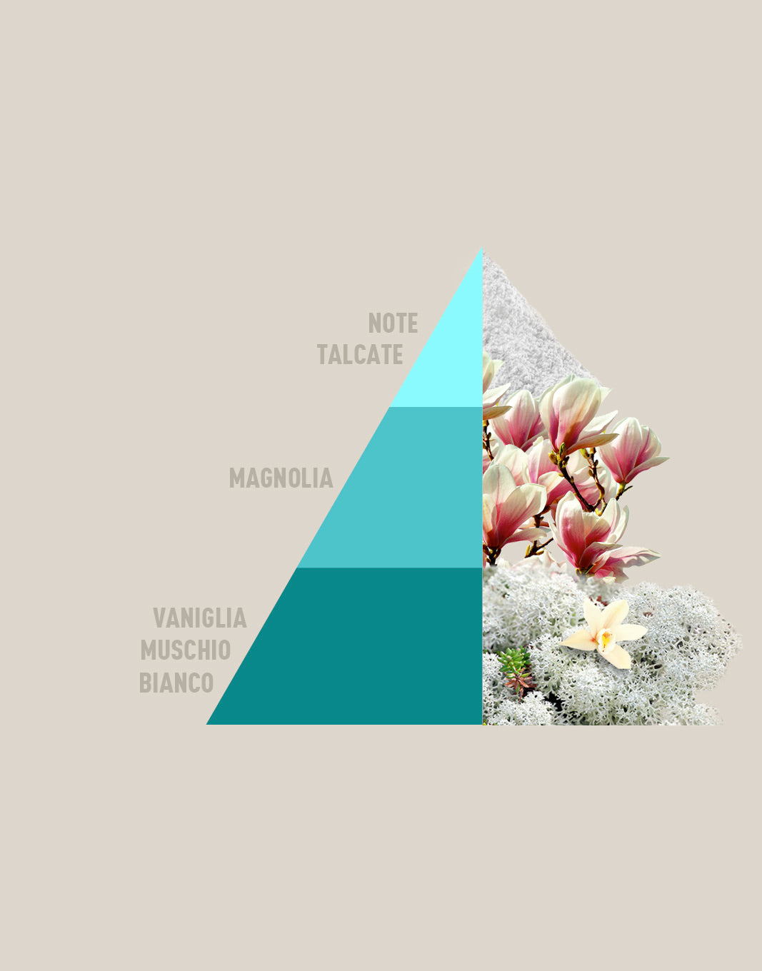 Bolsitas perfumadas multiusos Infinite White - 3 x 12 g