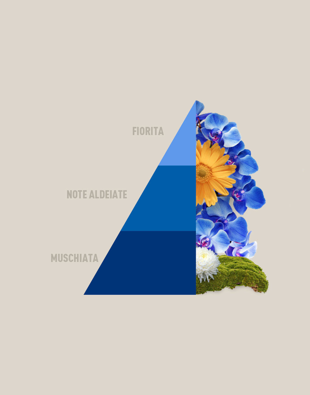 Bolsitas perfumadas multiusos azules 3 x 12 g