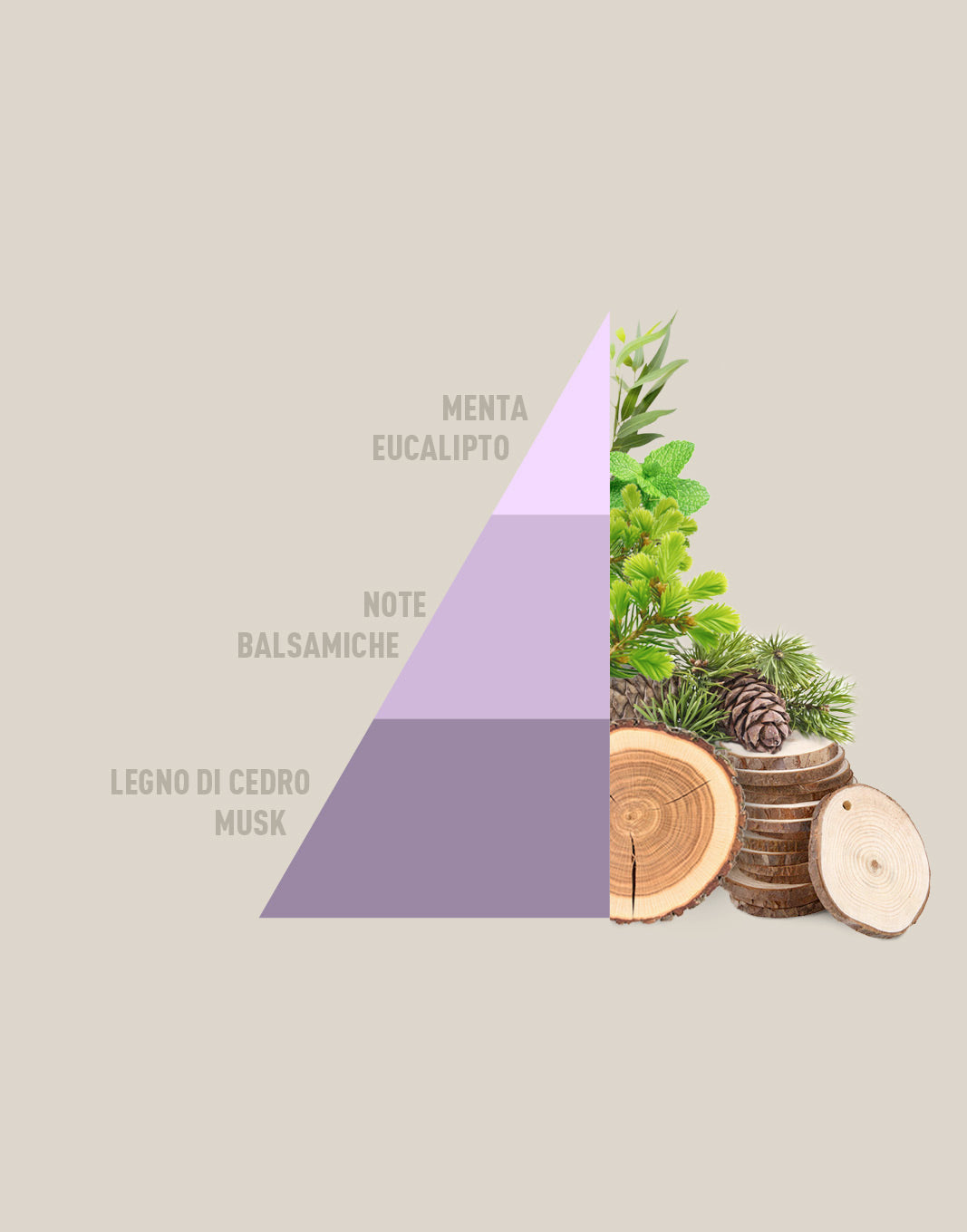 Sobres perfumados multiusos Spring Breeze (3 x 12 g)