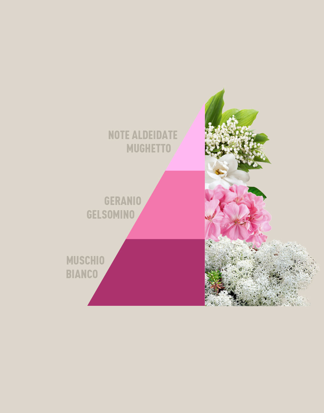 Sobres multiusos perfumados de talco suave - 3 x 12 g