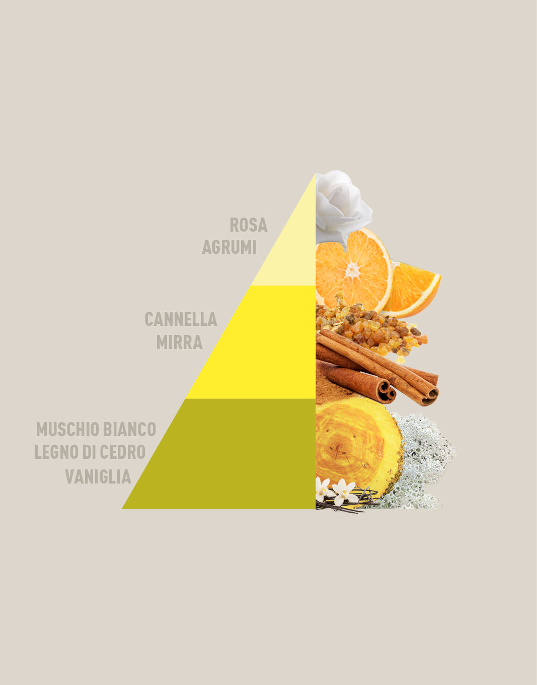 Multipurpose Scented Sachets Vanilla and Myrrh 3 x 12g