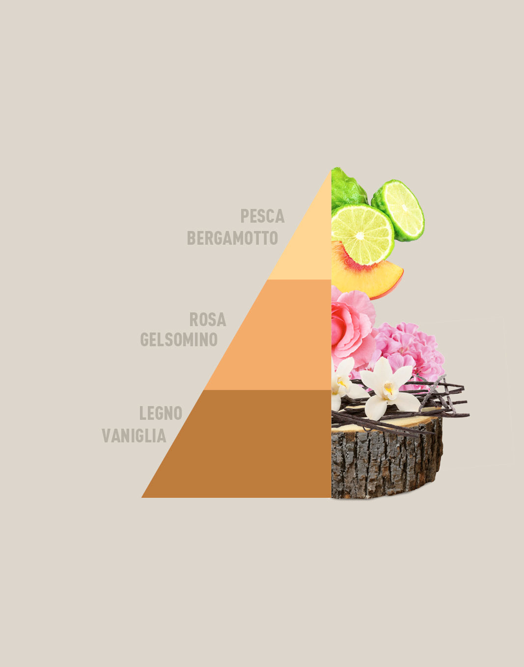 Profuma Bucato Vento d'oriente 250ml