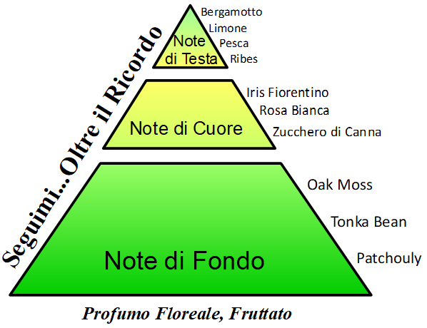 FOLLOW ME BEYOND MEMORY - EAU DE PARFUM SPRAY ANTIOX 15ml