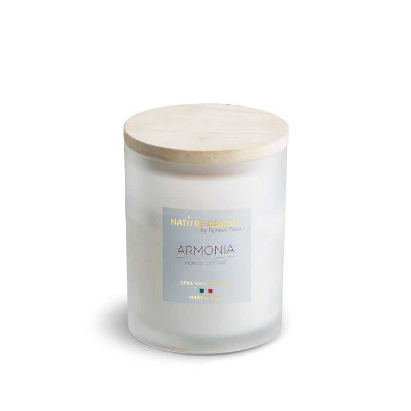 Candele Profumate armonia 200g