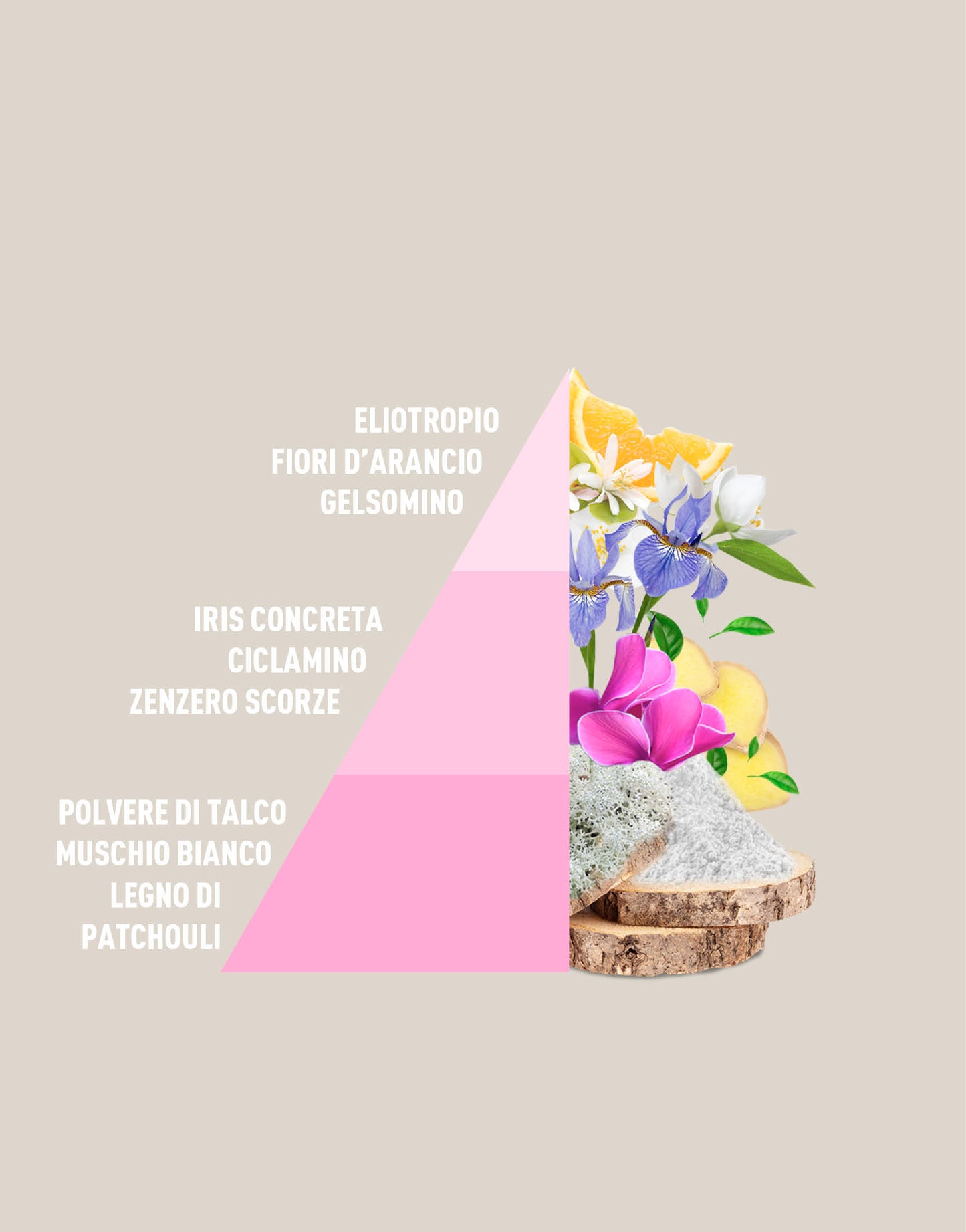 Sobres perfumados de talco multiusos para bebés (3 x 12 g)