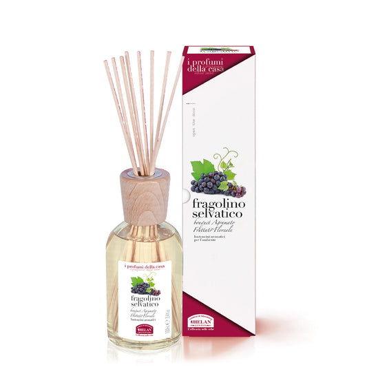 Bastoncini Aromatici Fragolino Selvatico 100 mL