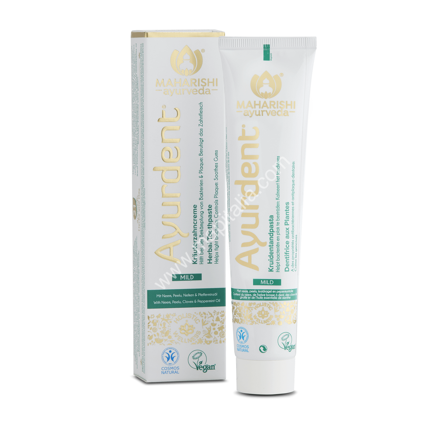 AYURDENT MILD 75ml