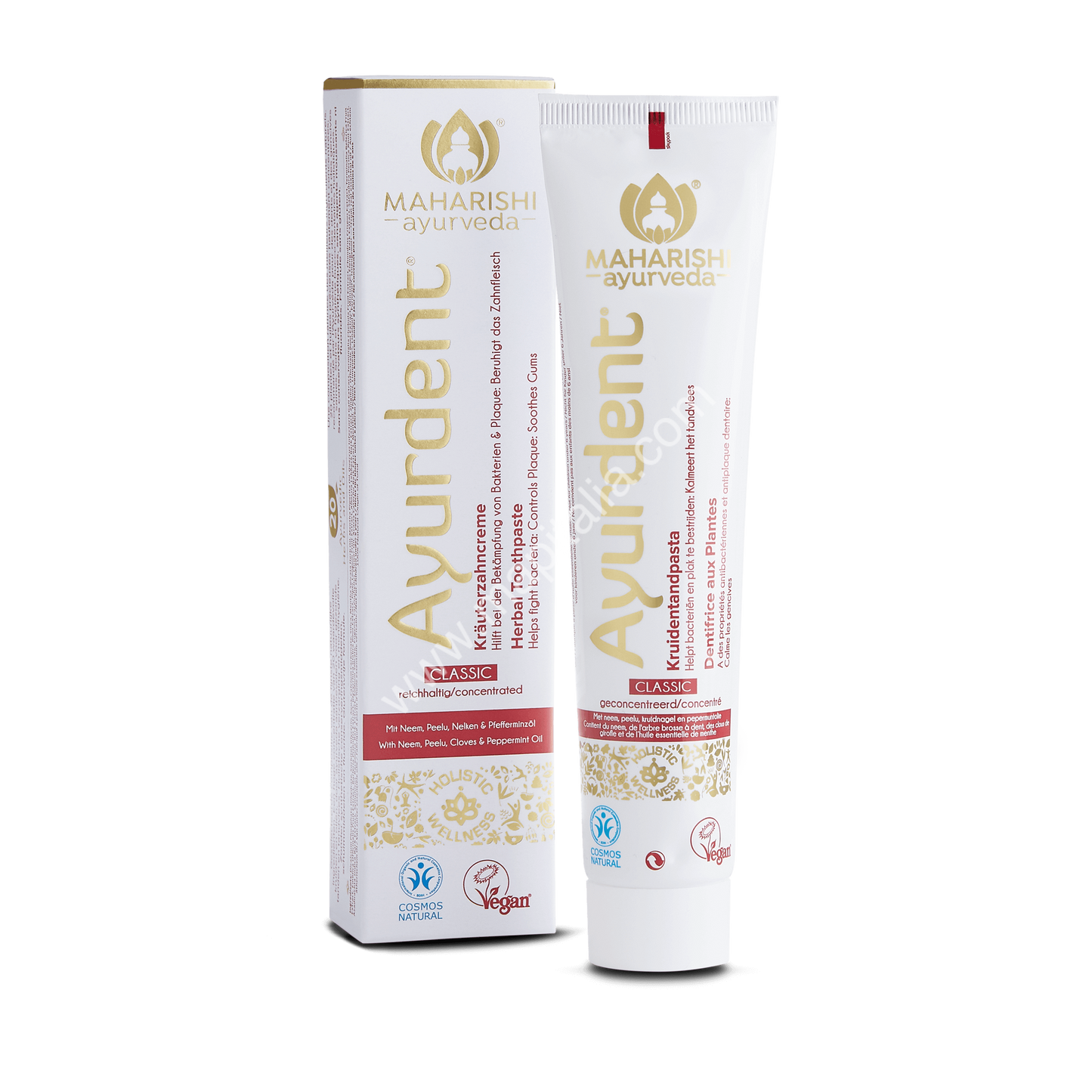 AYURDENT 75ml