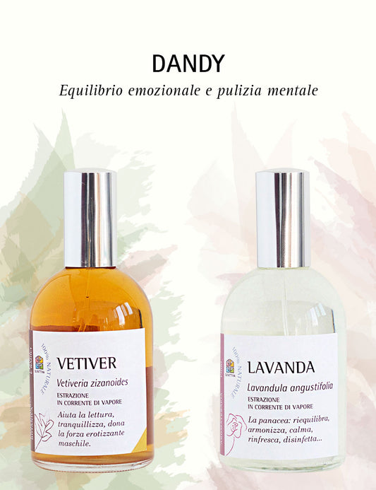 Dandy