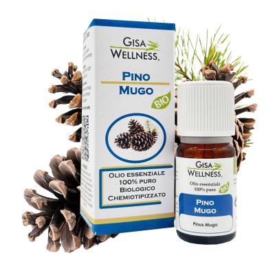 Pino Mugo BIO (Pinus Mugo)-10ml