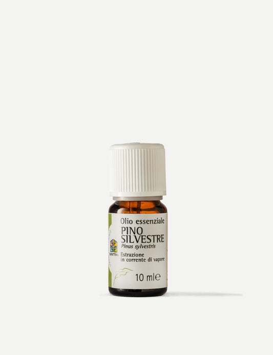 Olio Essenziale di Pino Silvestre 10 ml