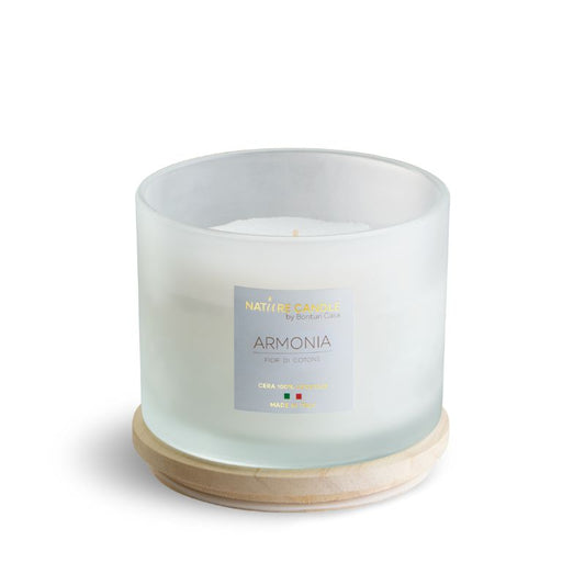 Candele Profumate armonia 380g