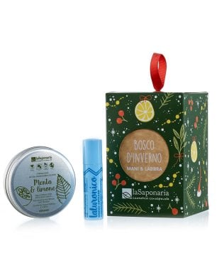 Lanterna Bosco d'inverno