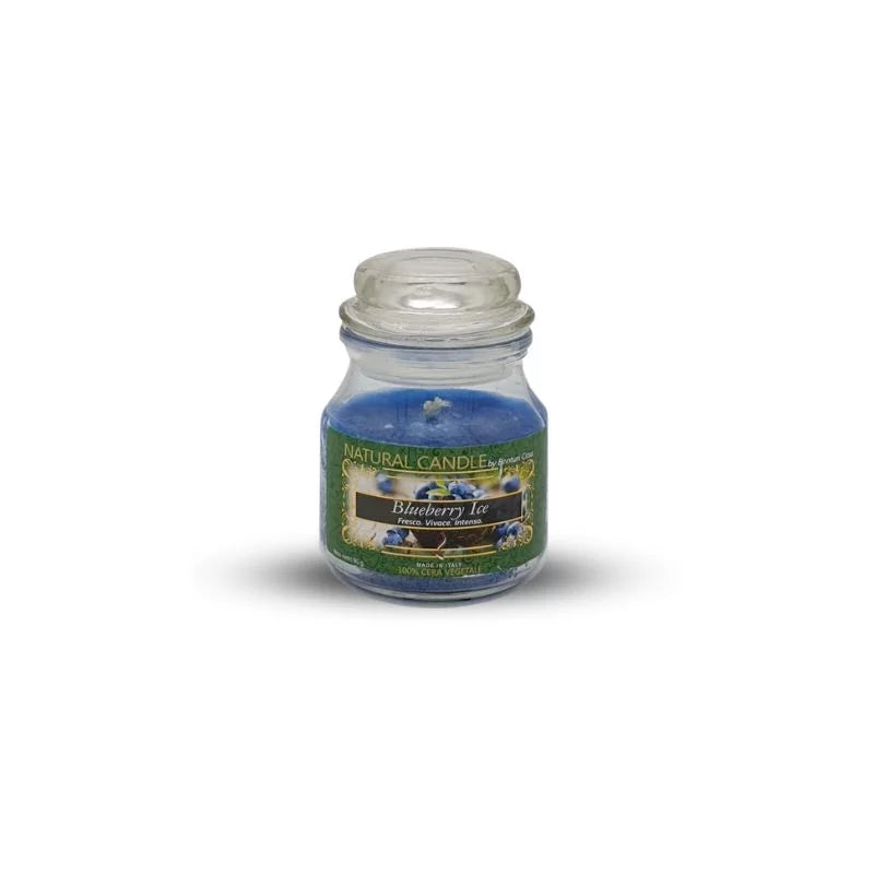 Candele Profumate blueberry 90g