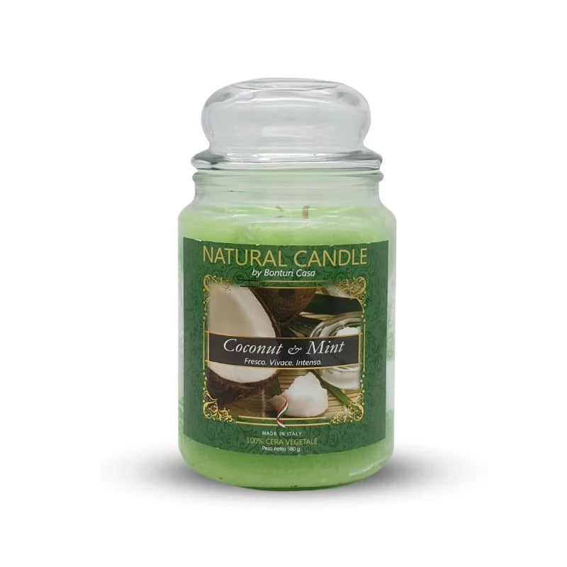 Candele Profumate Coconut and Milk 580g