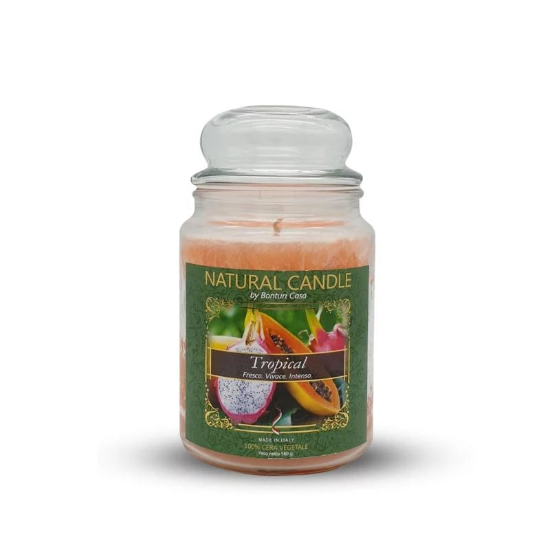 candele profumate tropical 580g
