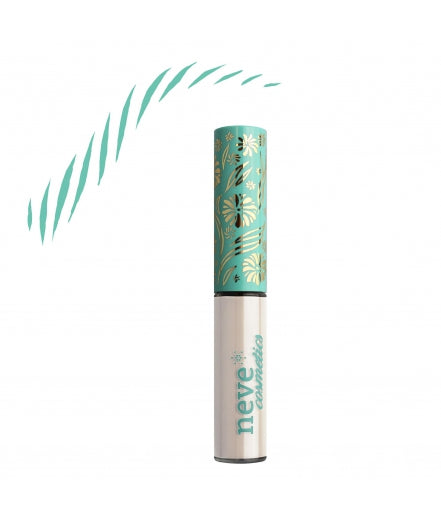 Brow Model Universal Shape
