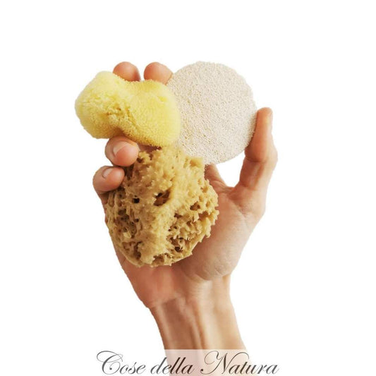 ESSENTIAL - Starter Kit Face