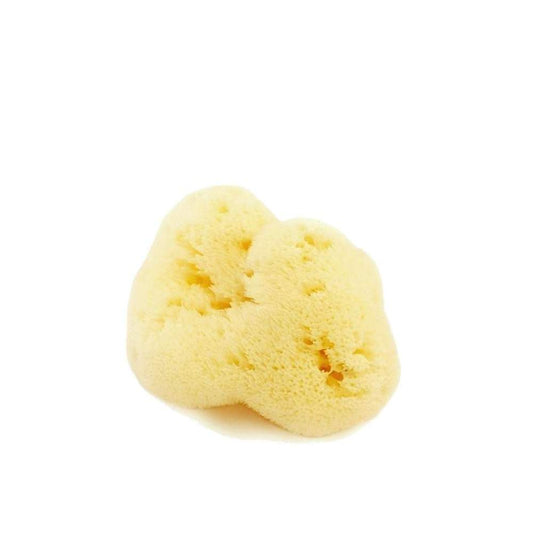 Fine bleached lady sea sponge FACE - S