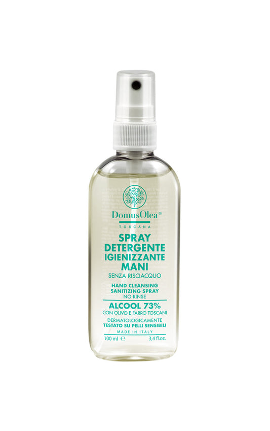 SPRAY LIMPIADOR DESINFECTANTE DE MANOS 100 ml